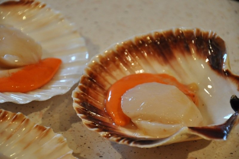 Scoici Saint Jacques(Scallop)