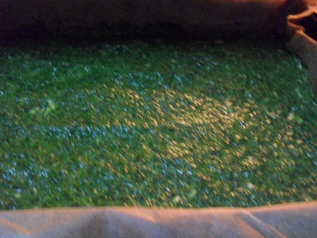 Rulada colorata cu spanac