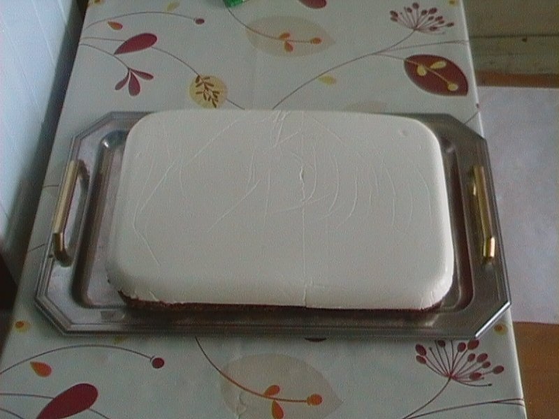 Tort ,,Teren de fotbal''