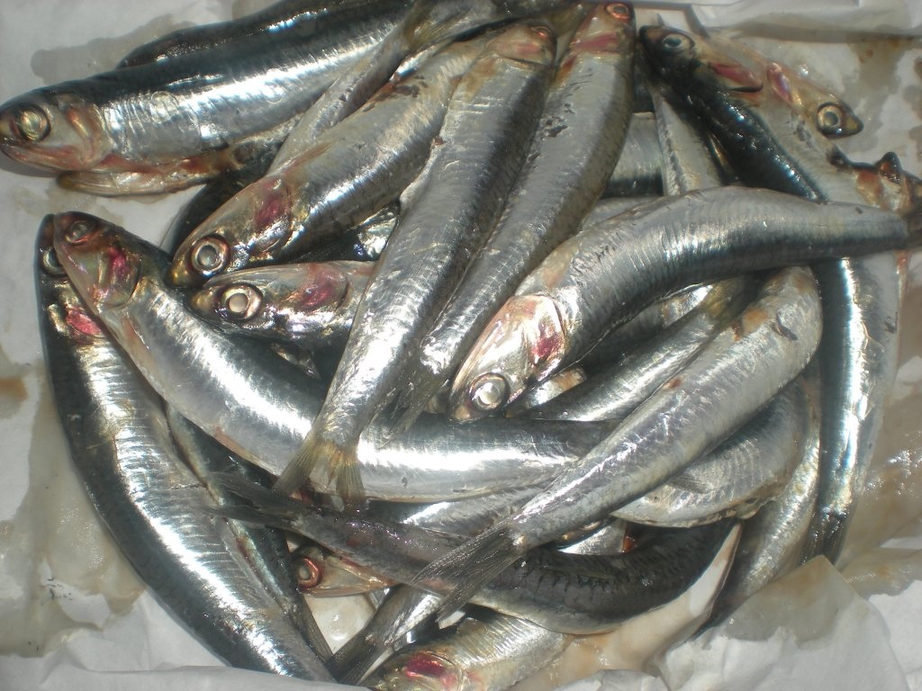 Ansoa marinate cu masline