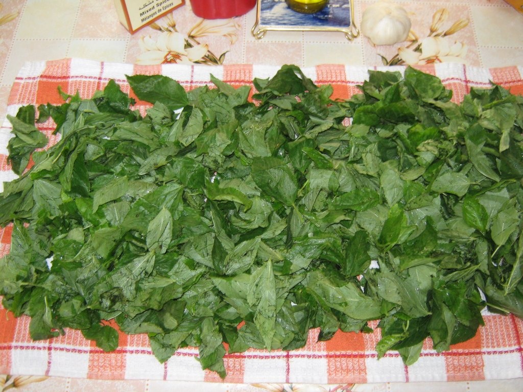 Supa de iuta cu pui –"Mlukhieh"-Specific tarilor arabe