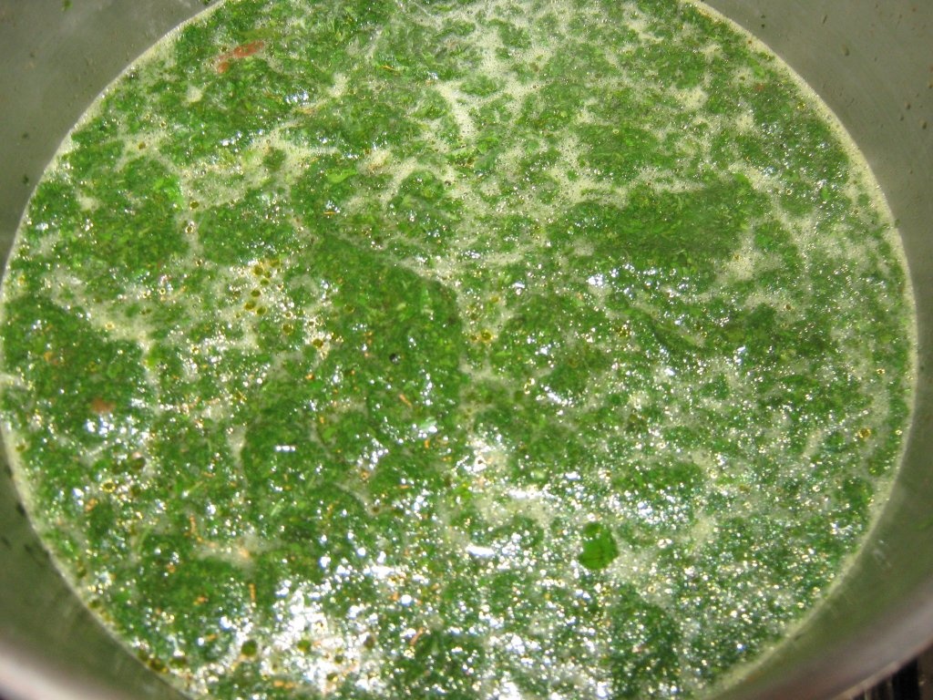 Supa de iuta cu pui –"Mlukhieh"-Specific tarilor arabe