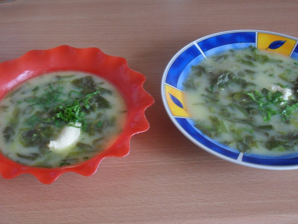 Ciorba  de salata cu leustean, absolut senzationala!