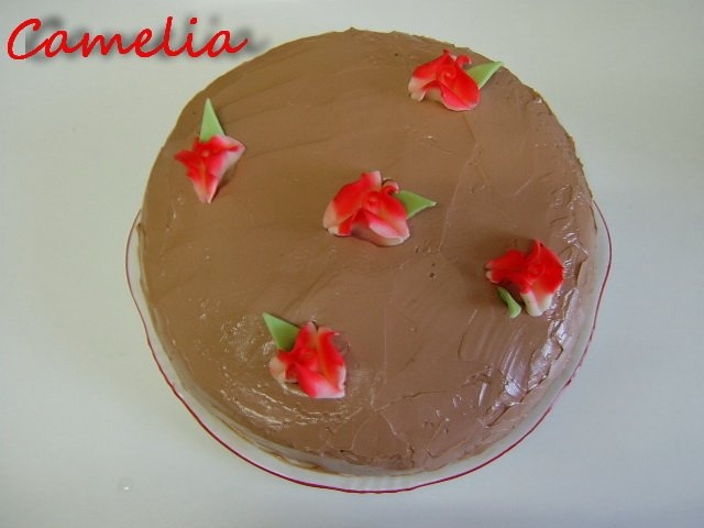 Tort de ciocolata