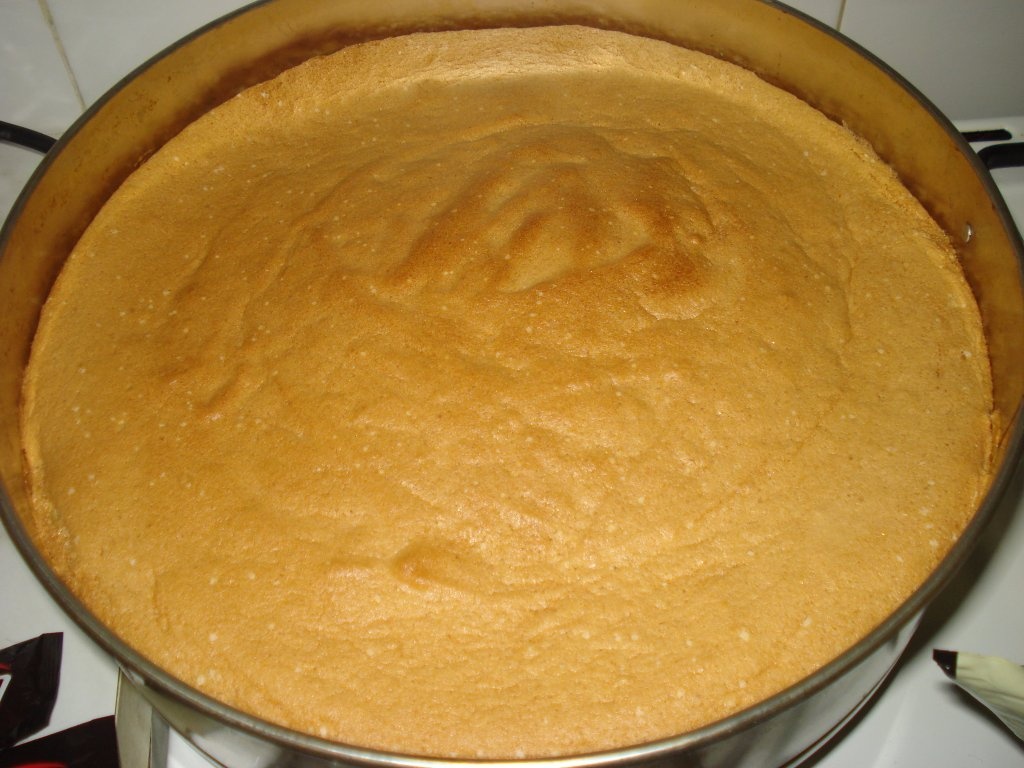 Tort cu iaurt de piersici