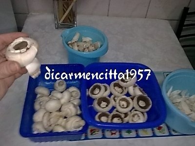 Ciulama de ciuperci champignion cu pulpe de pui