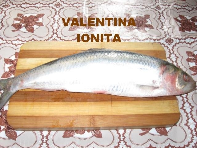 Scrumbie proaspata marinata