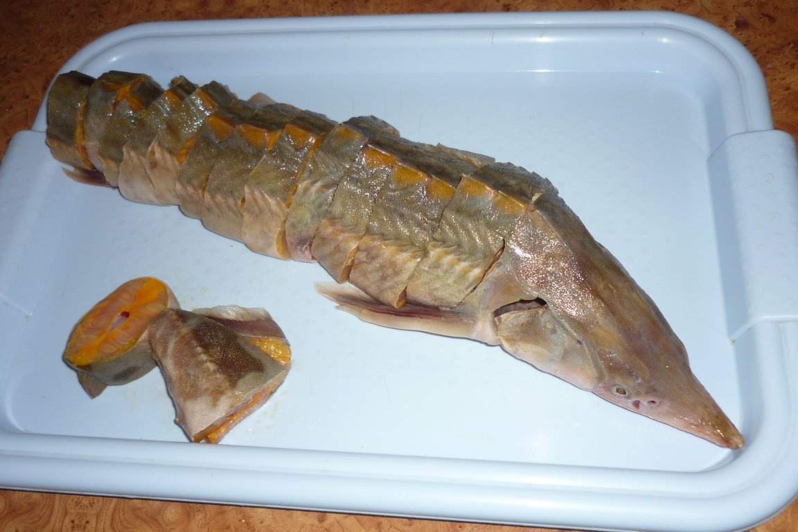 Sturion in crusta de pesmet cu malai