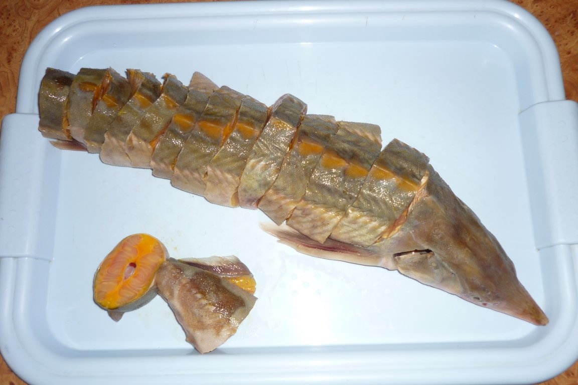 Sturion in crusta de pesmet cu malai