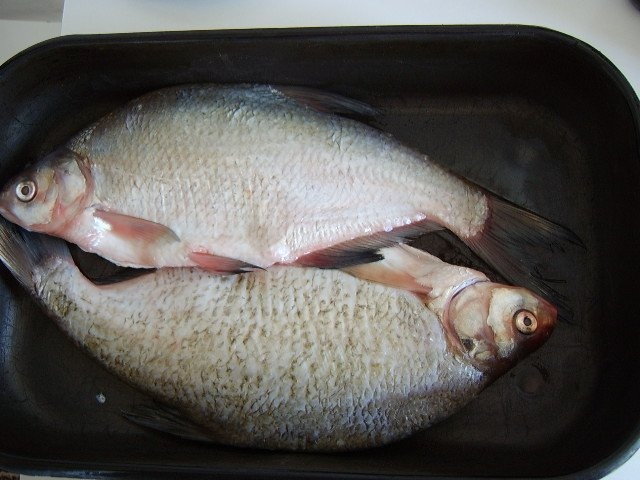 Platica cu sos la cuptor