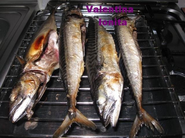 Macrou la grill (gratar)