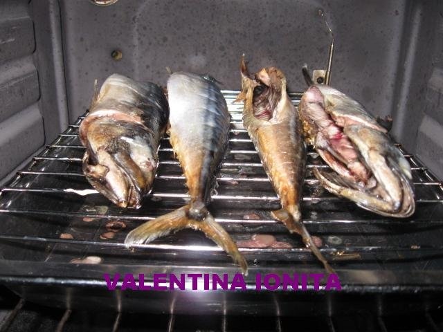 Macrou la grill (gratar)