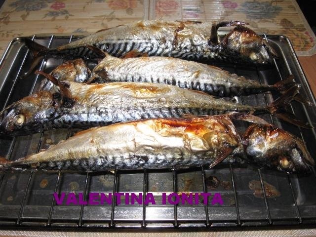 Macrou la grill (gratar)