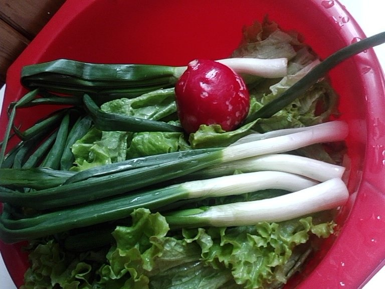 Pulpe de pui  cu salata