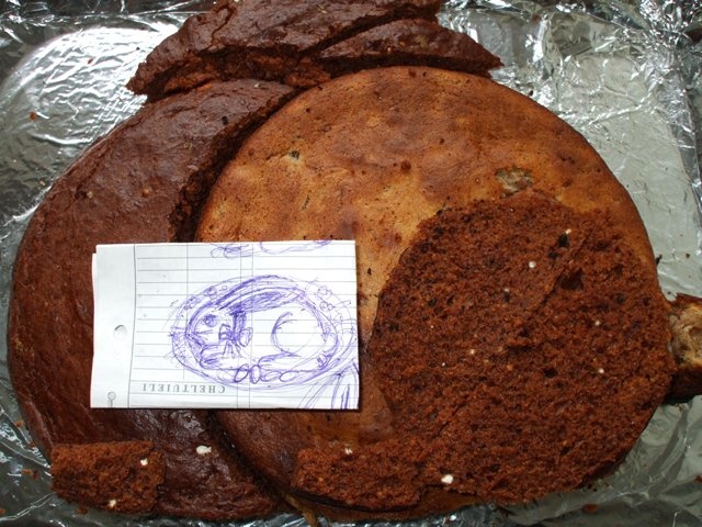 Tort Iepuras cu mure si ciocolata