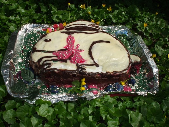 Tort Iepuras cu mure si ciocolata