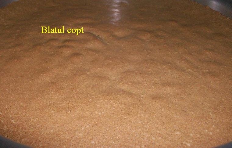 Prajitura cu nescafe