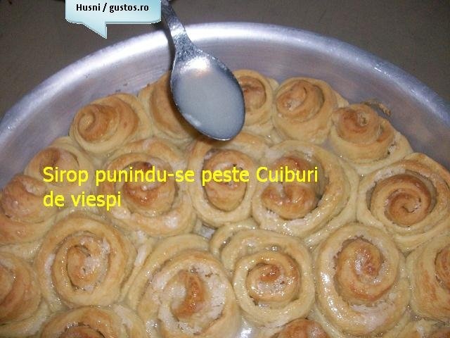 Cuiburi de viespi