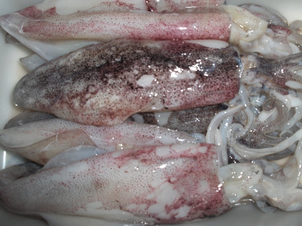 Crispy squid rings(Lulas fritas)