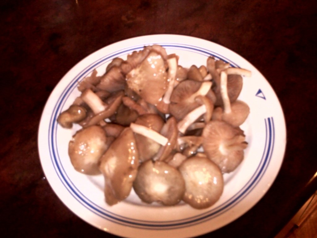 Tocanita de bureti de pom