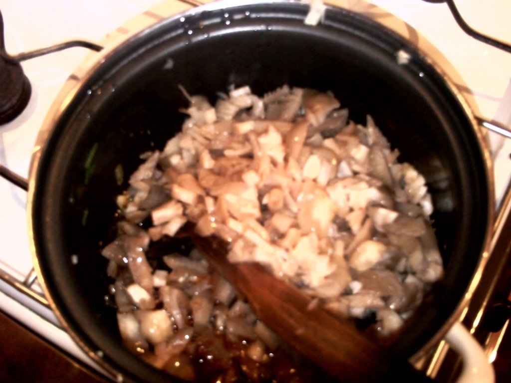 Tocanita de bureti de pom