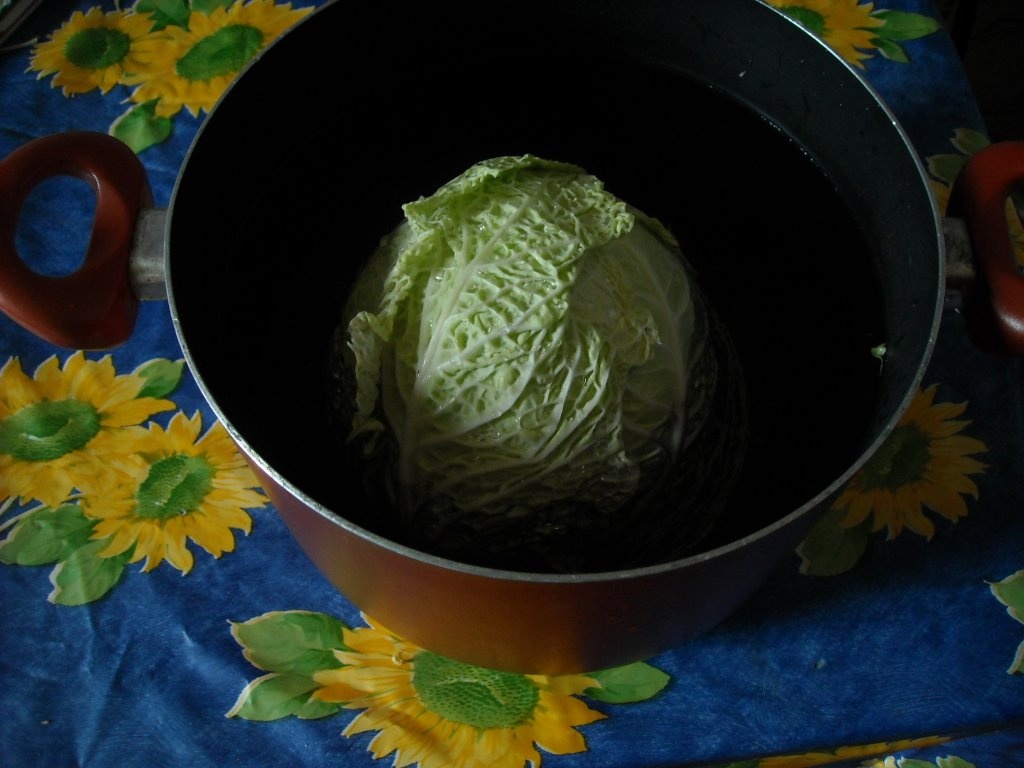 Polpettone(rulada cu carne)