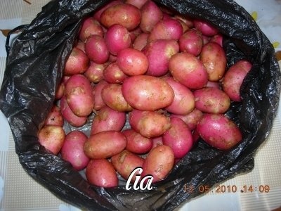 Cartofi noi, prajiti