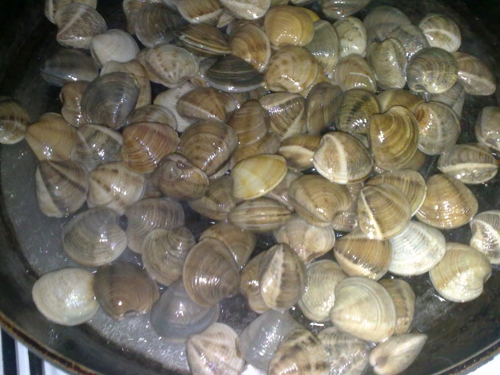 Scoici de riu  in sos.