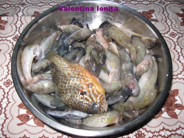 Chiftelute din guvizi de apa dulce