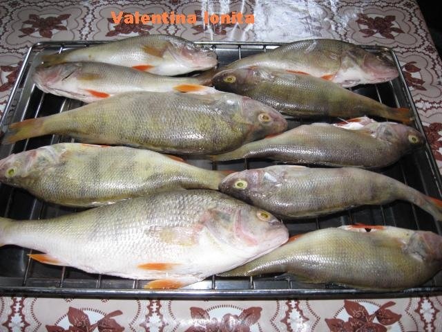 Saramura de biban la grill (gratar)