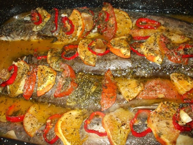 Somn la tava cu portocale