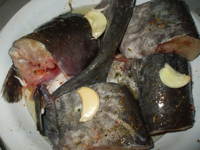 Somn natur la cuptorul cu halogen Oven