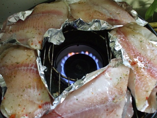 File de pangasius picant la gratar