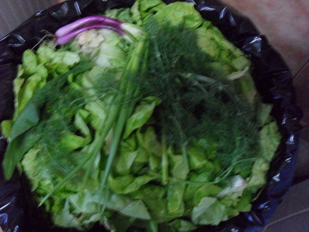 Salata pt iarna