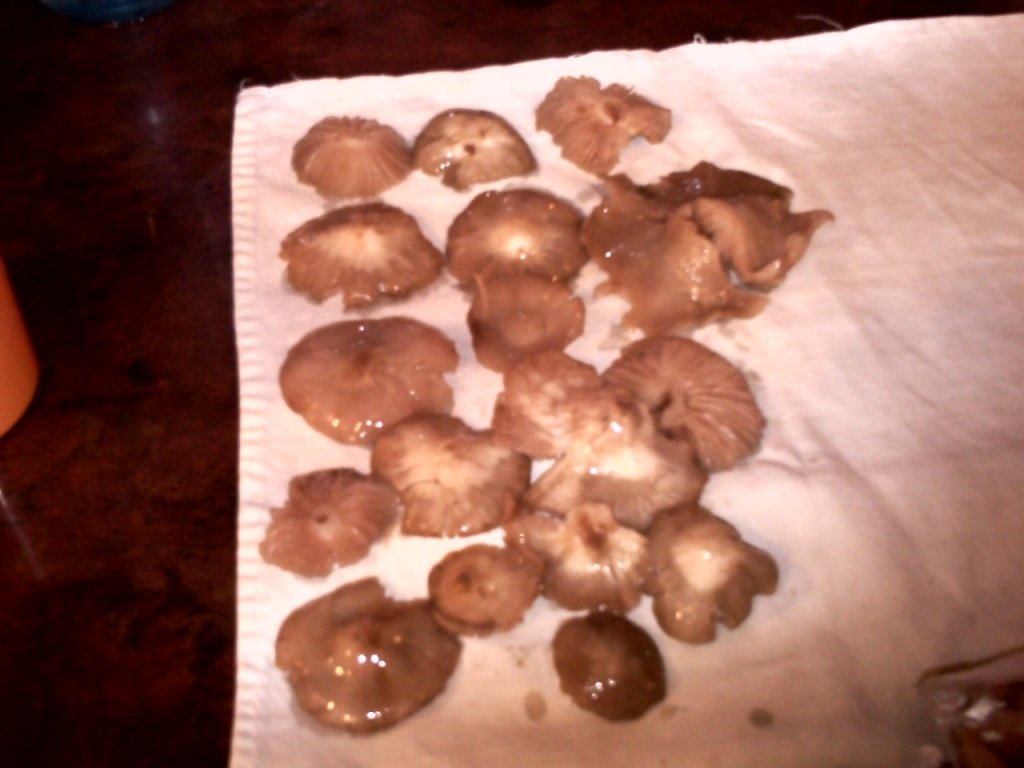 Ficat cu spanac si bureti de pom pane