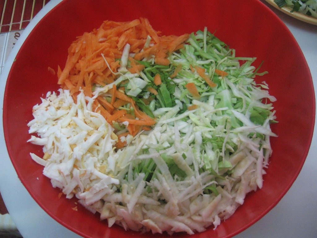 Salata mozaicata
