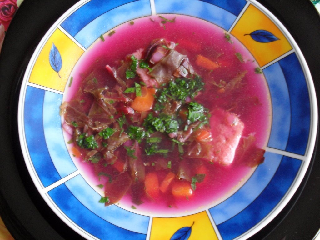 Zama de loboda rosie cu paparaie