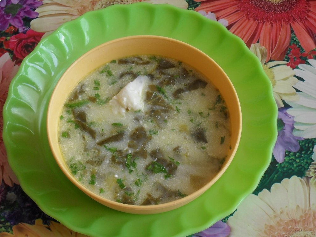 Ciorba de spanac aromata cu patrunjel verde