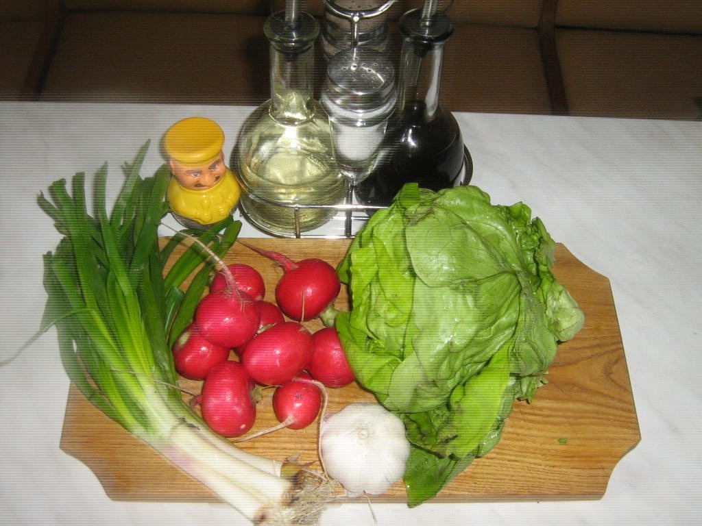 Salata verde cu ridichi