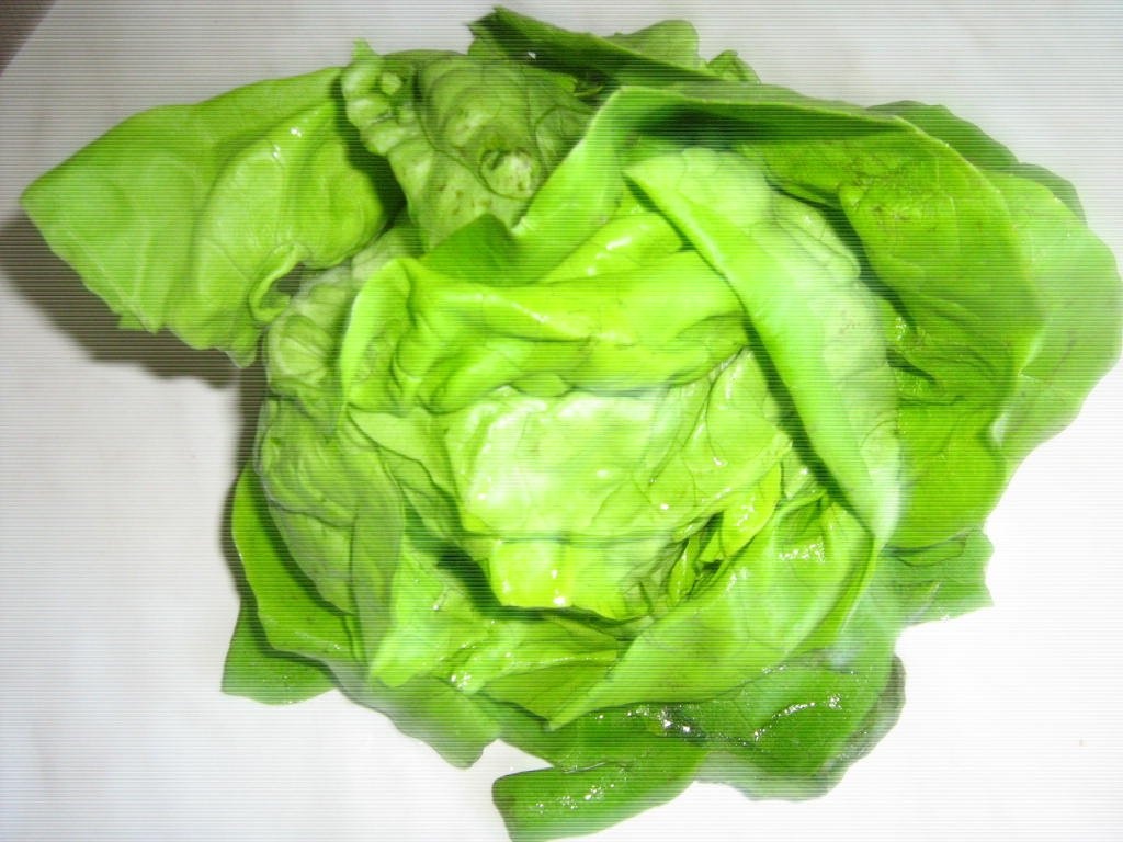 Salata verde cu ridichi