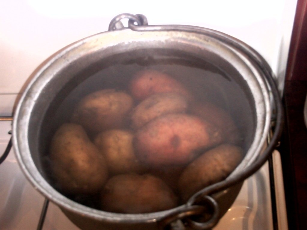 Cotlet in sos de hrean