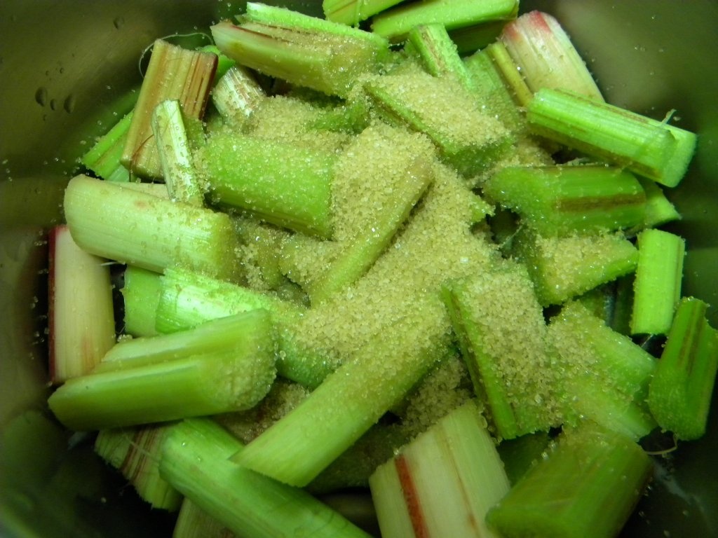 Compot de rubarba