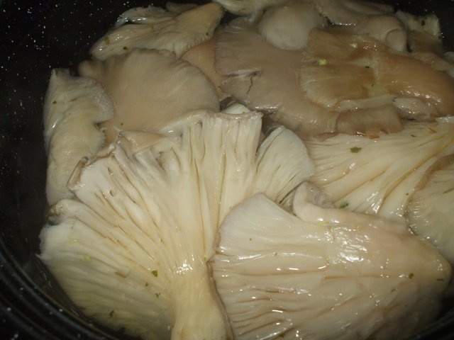 Ciuperci in aluat cu sos de ciuperci