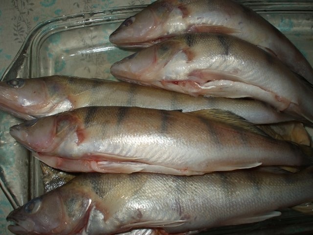 Salau impachetat pe gratar