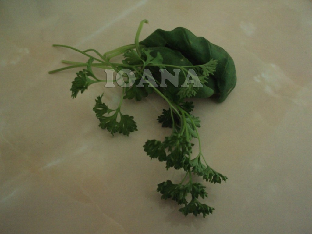 Guacamole - sos mexican de avocado