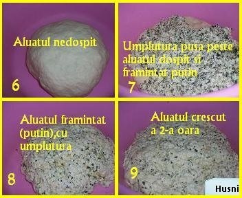 Placinta cu telemea si za’atar(specific arab)