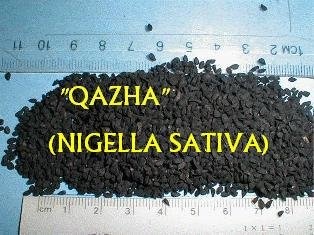 Placinta cu telemea si za’atar(specific arab)