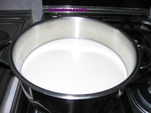 Iaurt preparat in casa