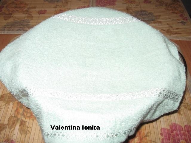 Iaurt preparat in casa