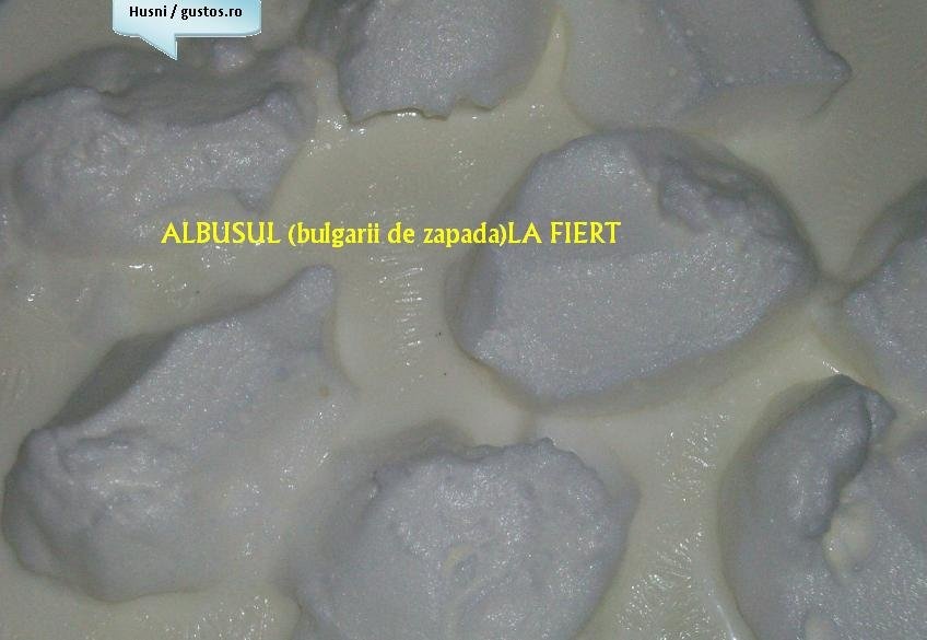 Lapte de pasare(bulgari de zapada)